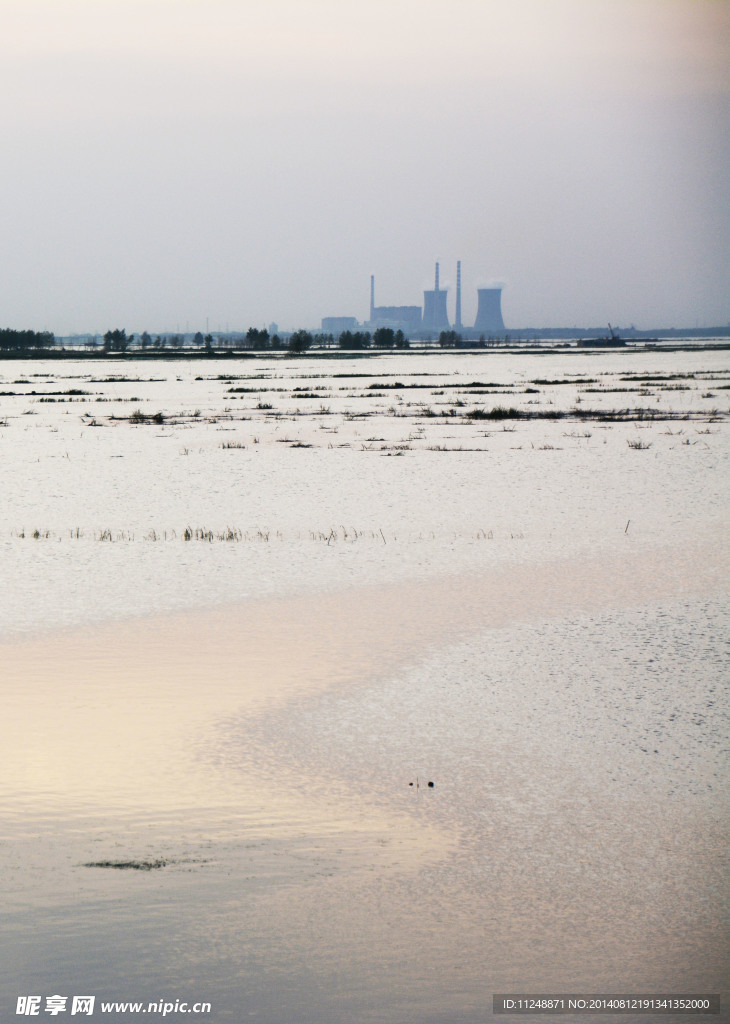 滨江湿地