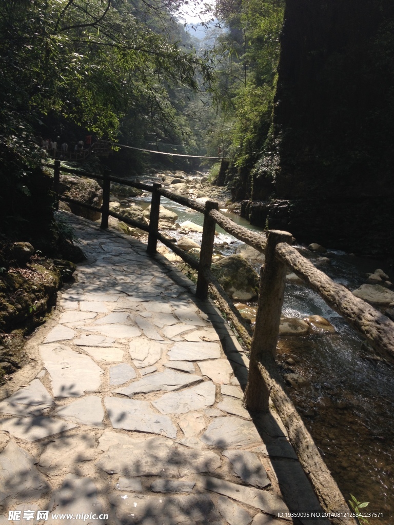 风景 水流  绿色 自然