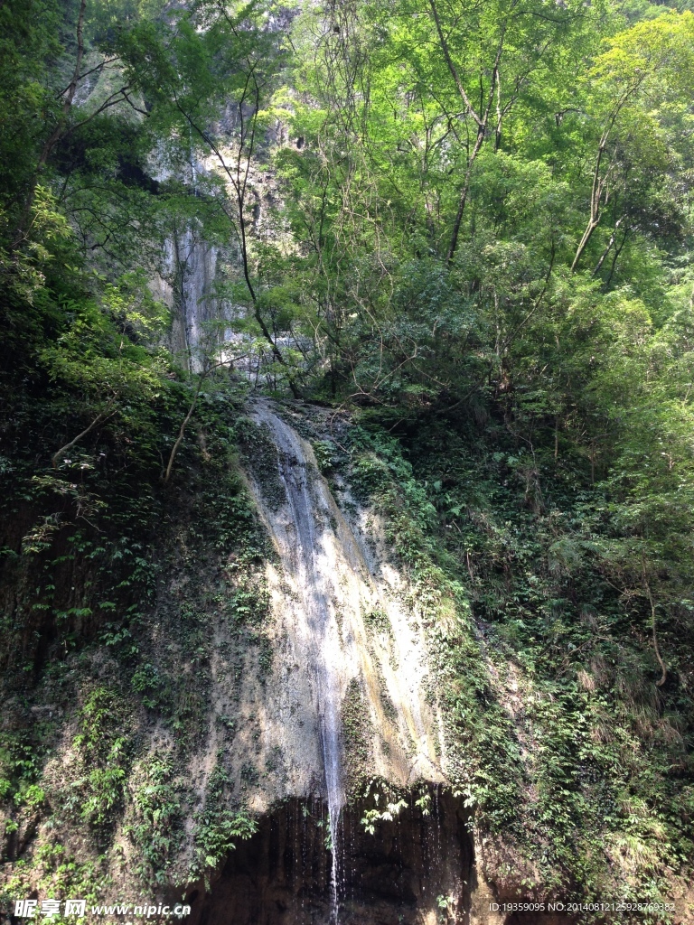 风景 水流  绿色 自然