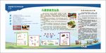 健康教育宣传栏