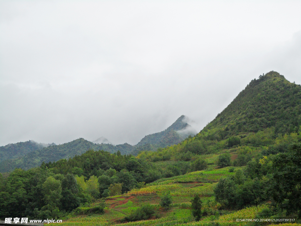 山阳陈家湾