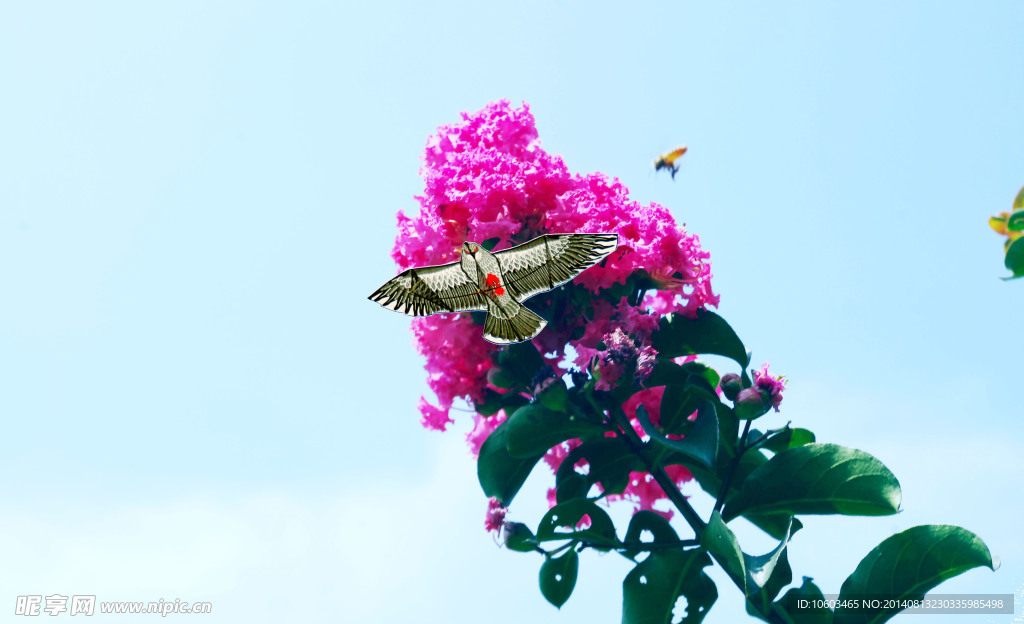 蓝天鲜花 蜜蜂与风筝