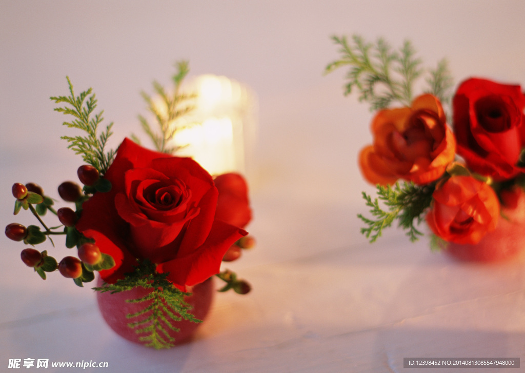 红色浪漫玫瑰