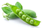 豌豆荚