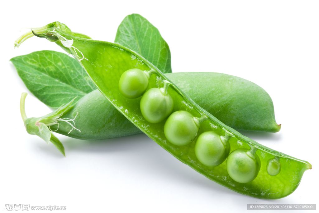 豌豆荚