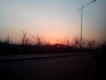 夕阳