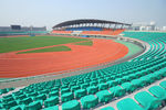 风景 浙师大
