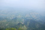 山