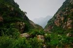 山谷