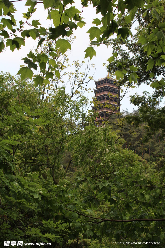 秦堰楼
