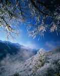 冬日山林雾凇雪景