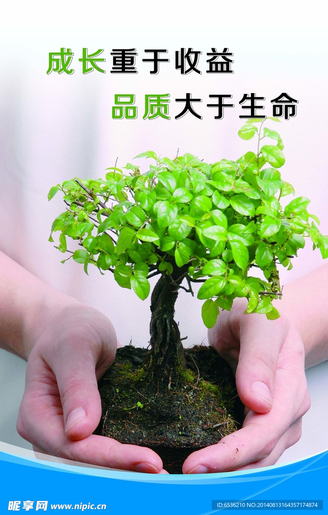 成长 品质 企业文化
