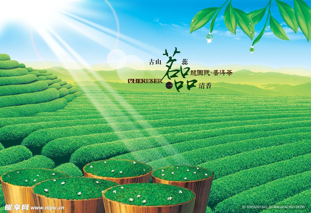 绿茶