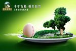 鸡蛋