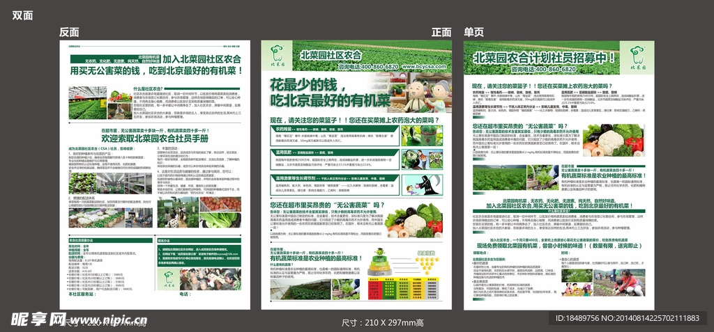 有机蔬菜种植场宣传单