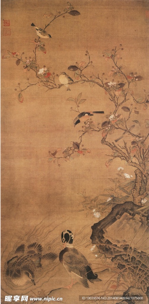 花鸟 国画