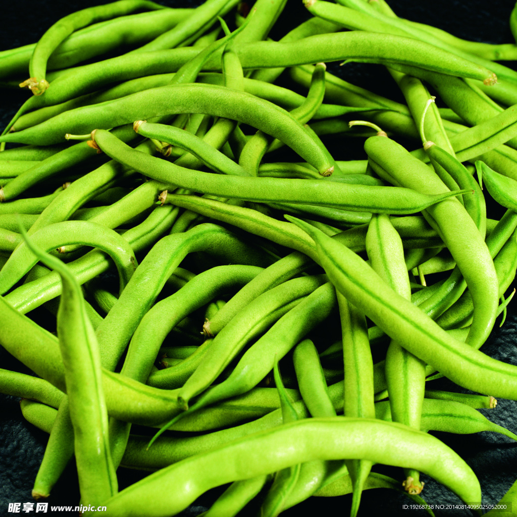 豆角 豆类