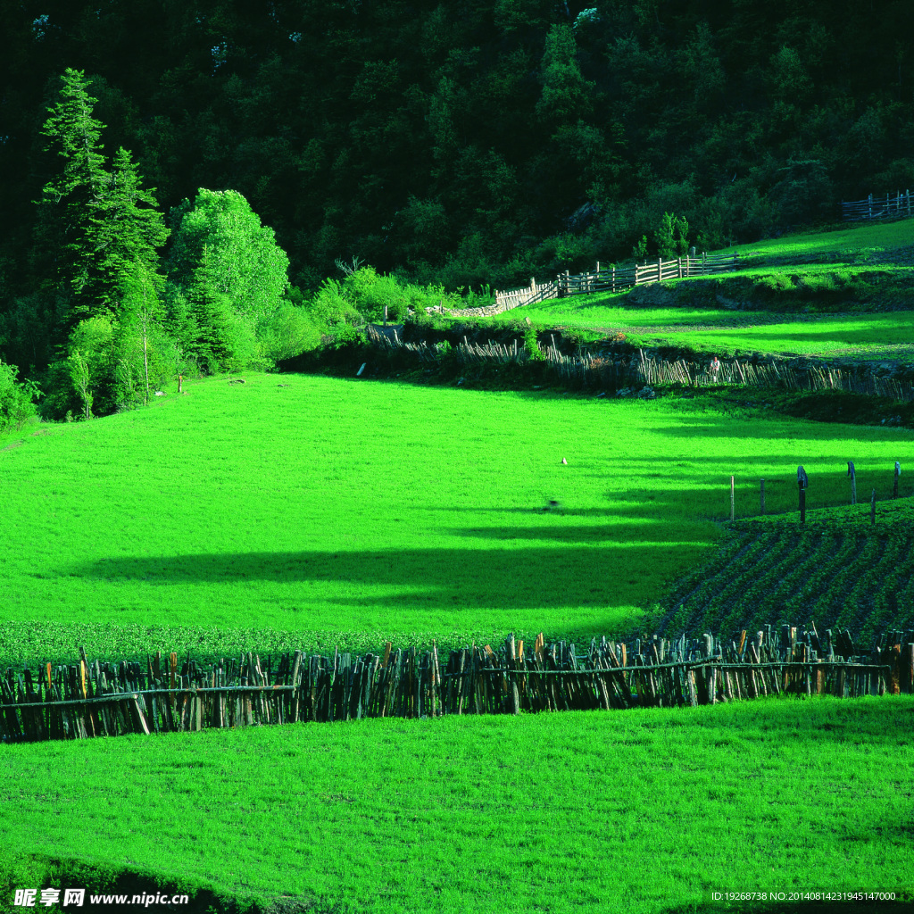 田园景观