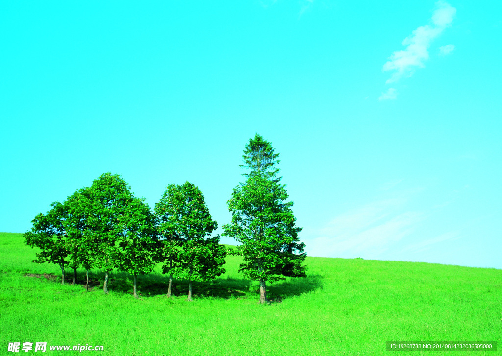 田园景观