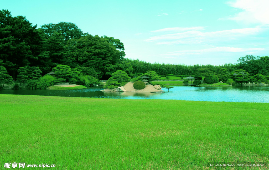 风景  草原