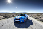 福特shelby