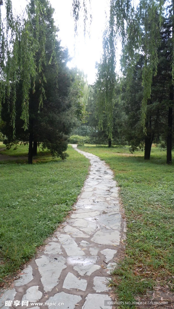 林中小路