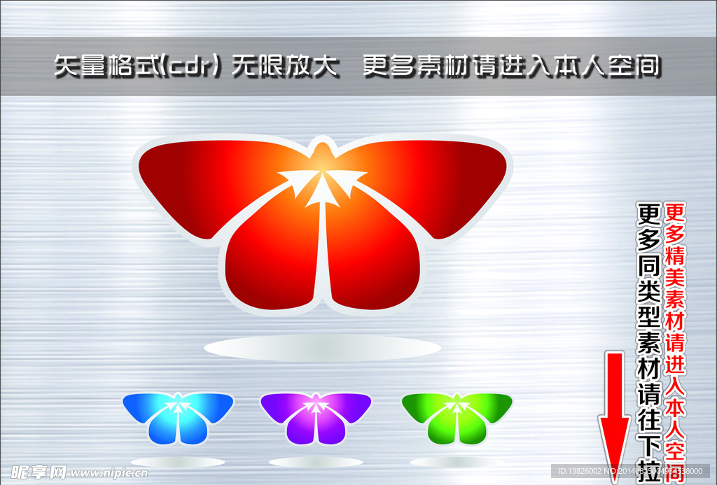 动物 蝴蝶