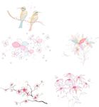 线描花朵