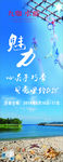 贝壳风铃