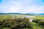 四川阿坝红原