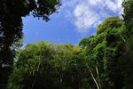 红河天空