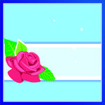 玫瑰花