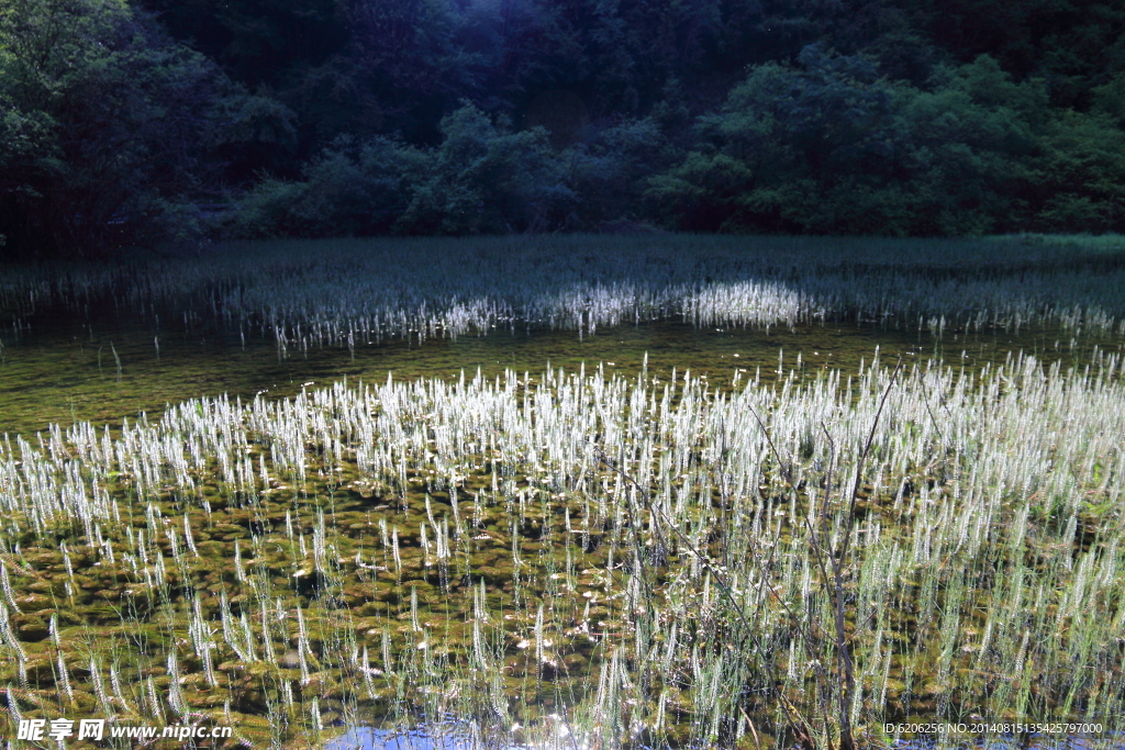 九寨沟山水