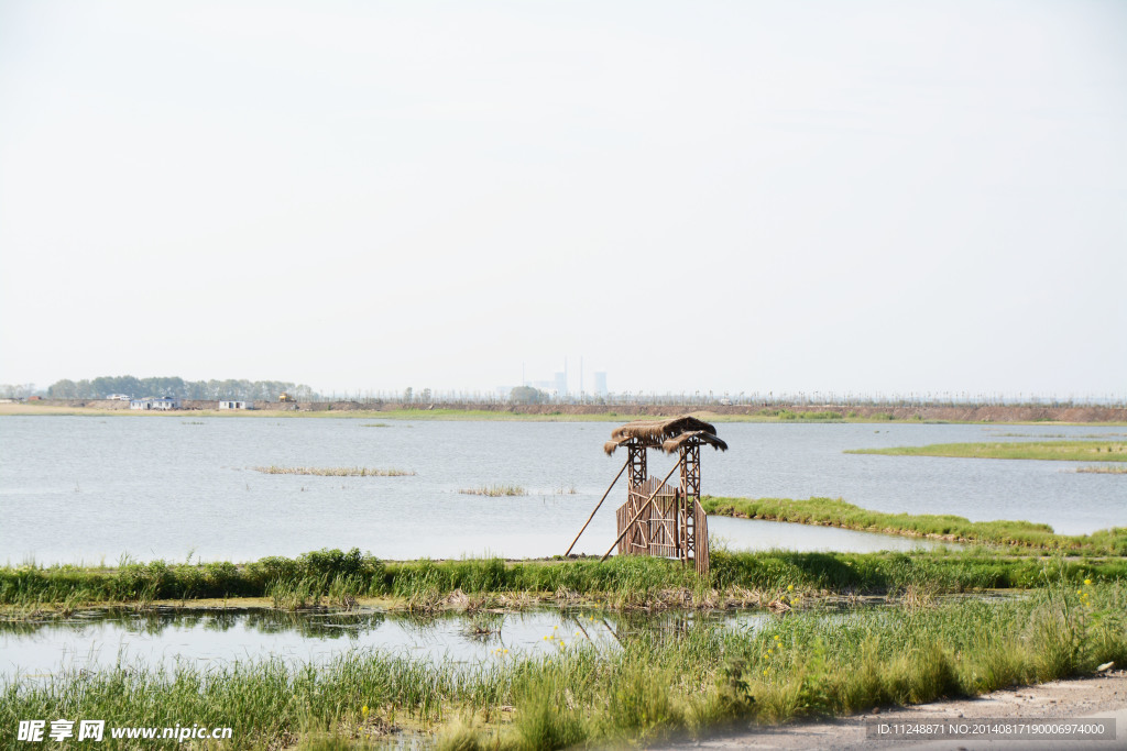 滨江湿地