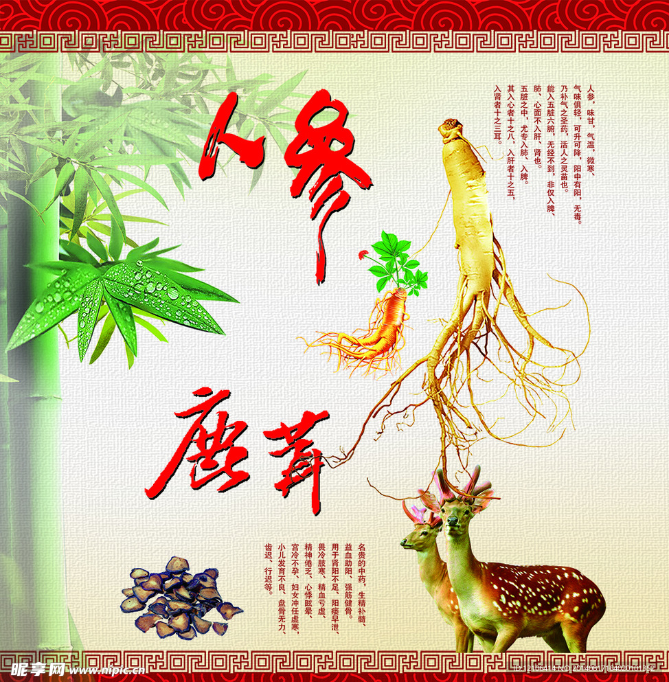 人参海报