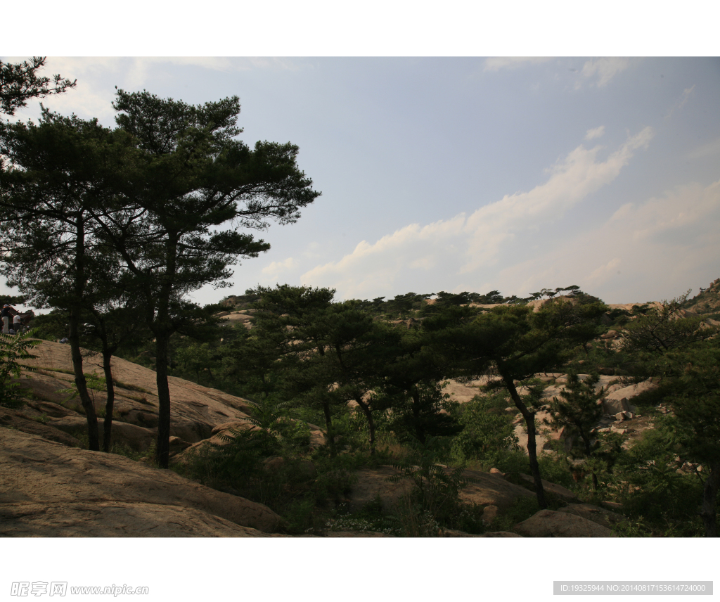 山景