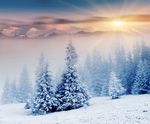 雪景
