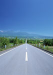 道路