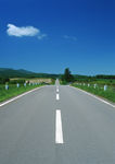 道路美景