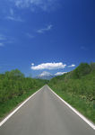 道路