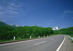 唯美道路