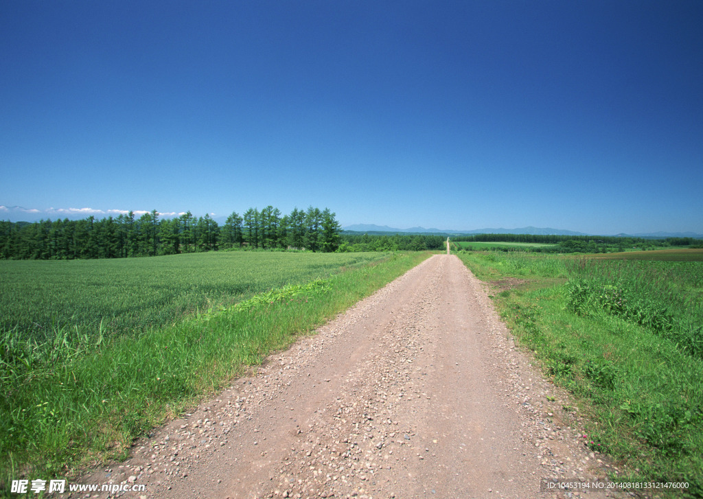 道路