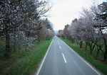 道路