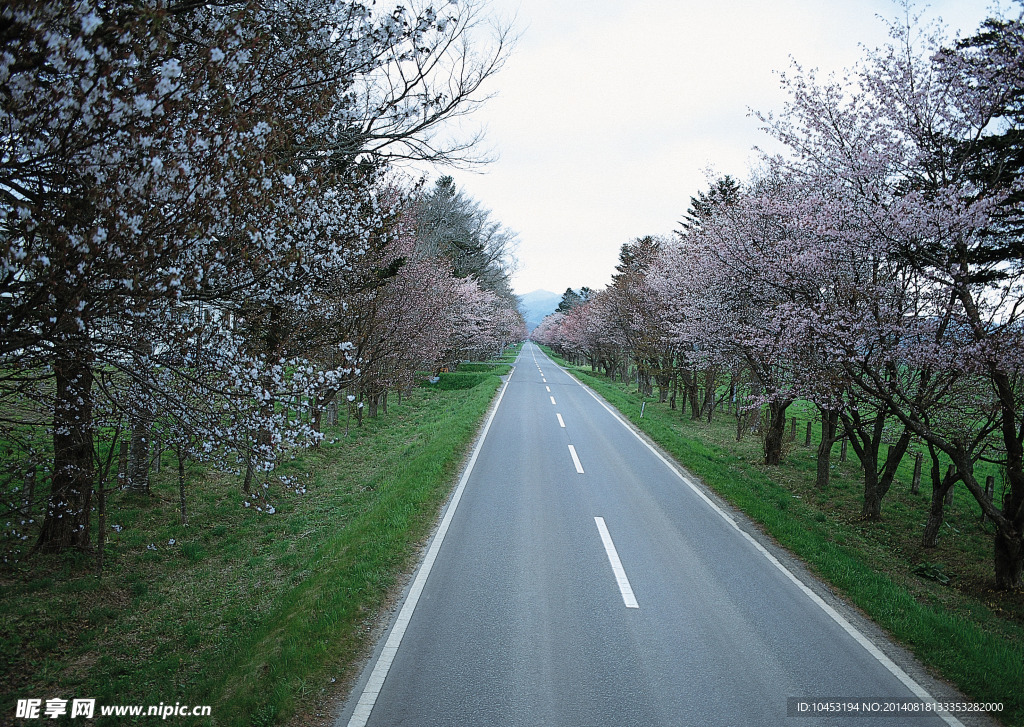 道路