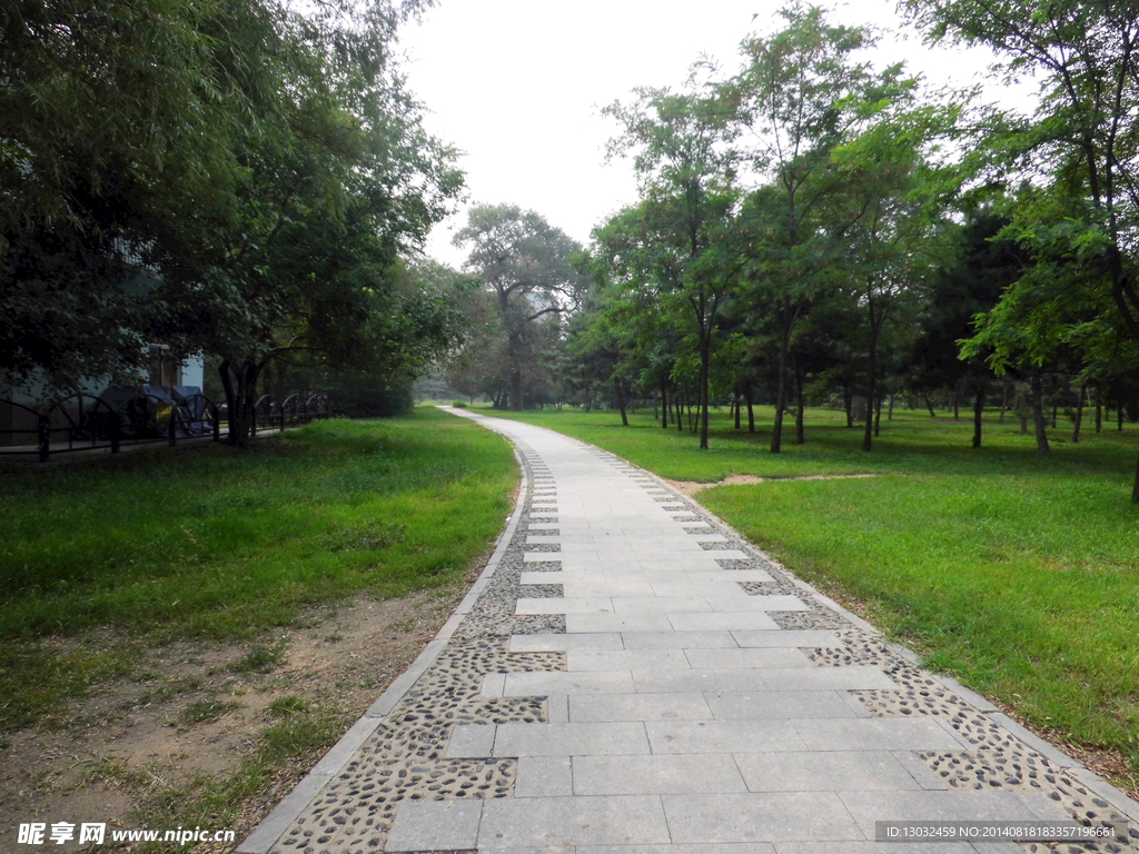 林间小路