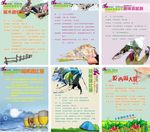 户外活动牌 海报