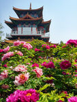 洛阳王城公园沉香楼