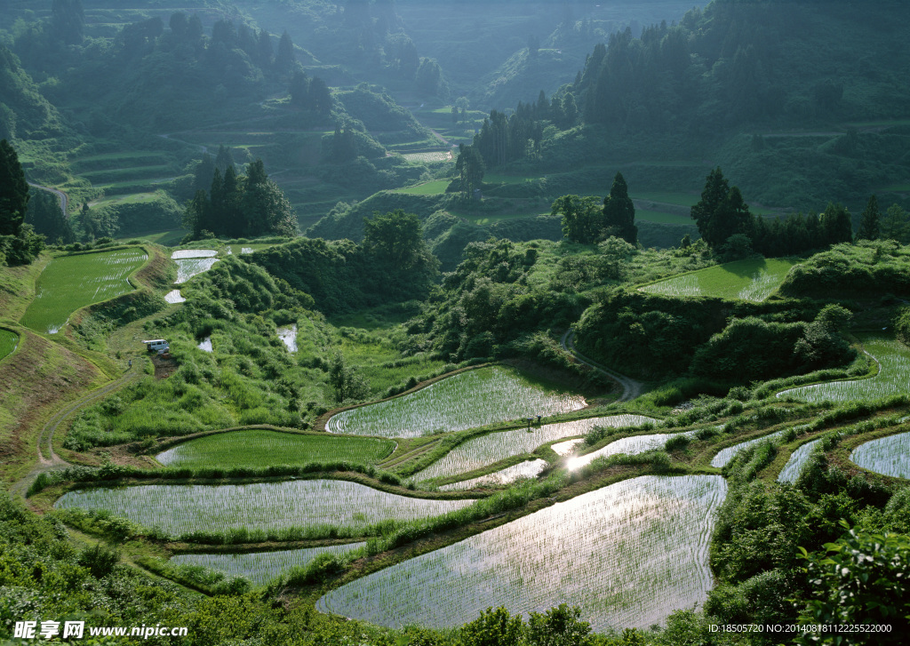 梯田风景图片