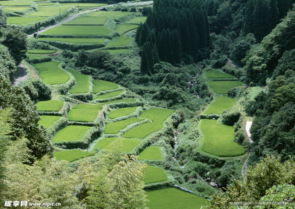 梯田风景图片