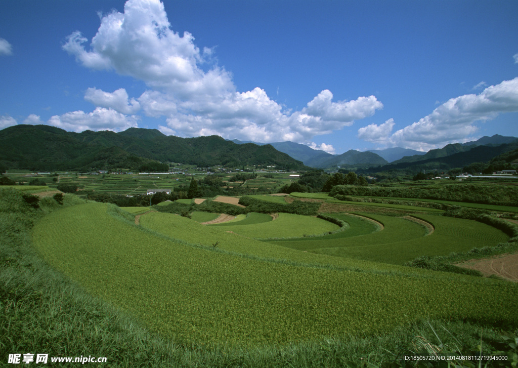 梯田风景图片